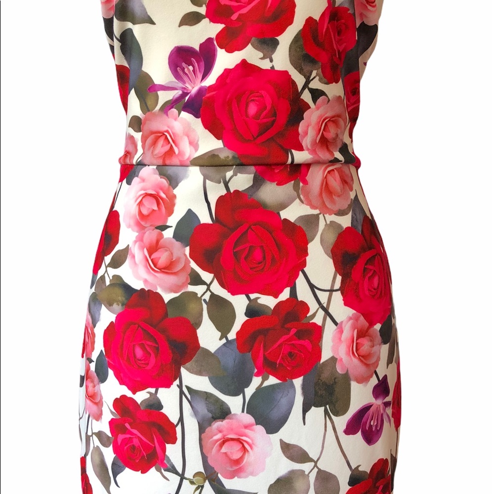 Premier Amour Dress🌸 - Picture 6 of 8